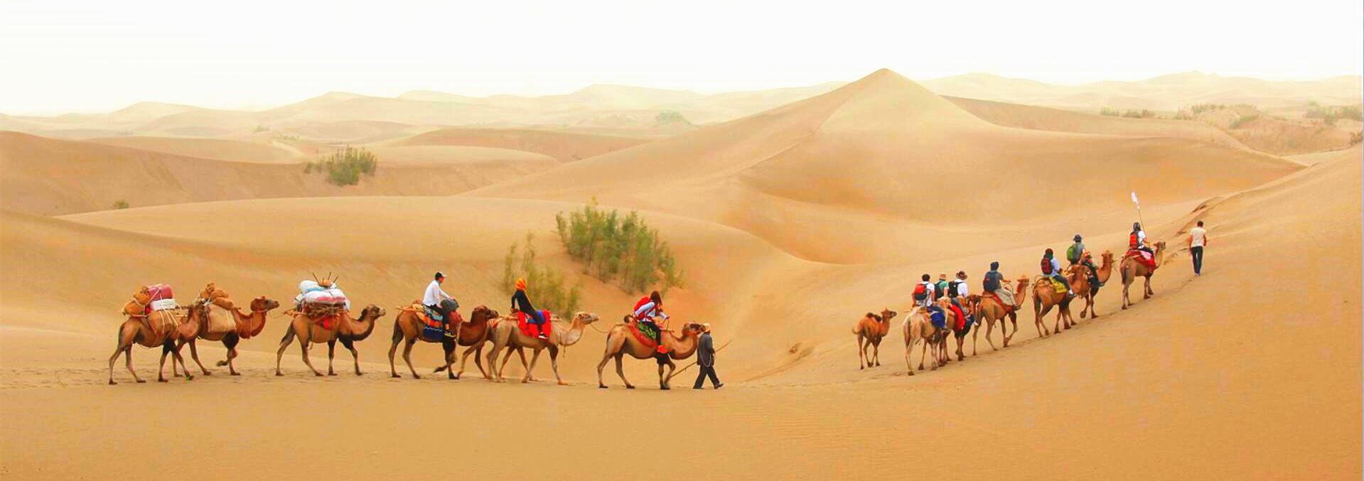 Silk Road