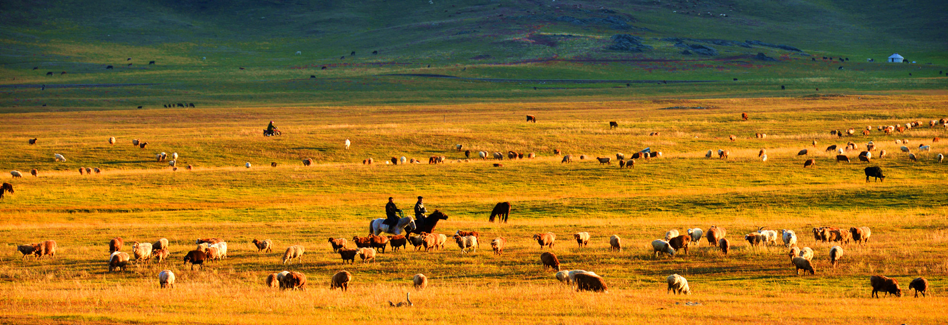 xinjiang travel guide.jpg