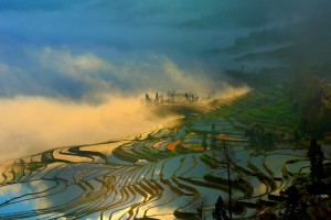 The Yuanyang Terraces