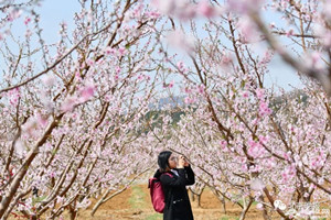 Shanxi Spring Flower Guide