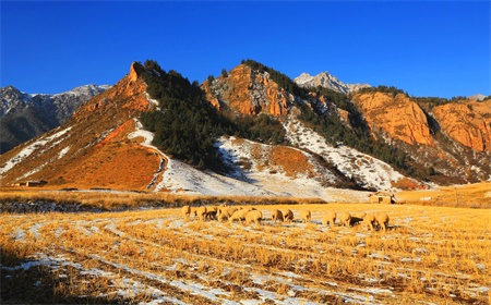 Zhangye Travel Tips