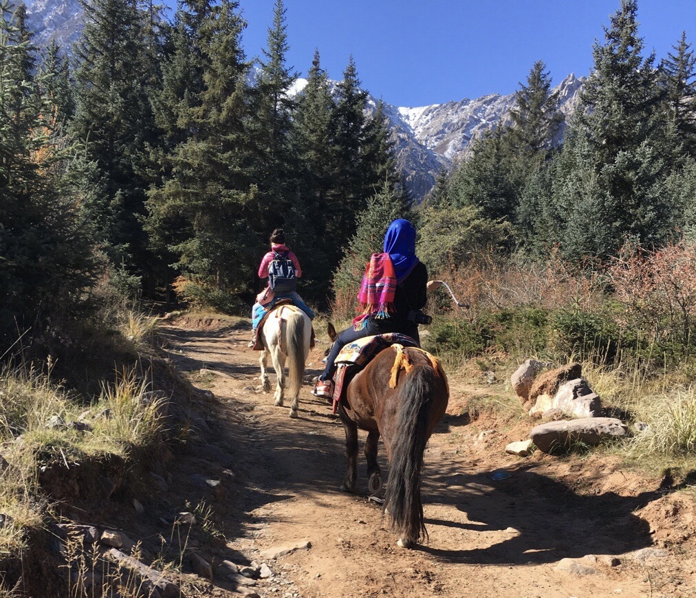 骑马.jpg 骑马.jpg