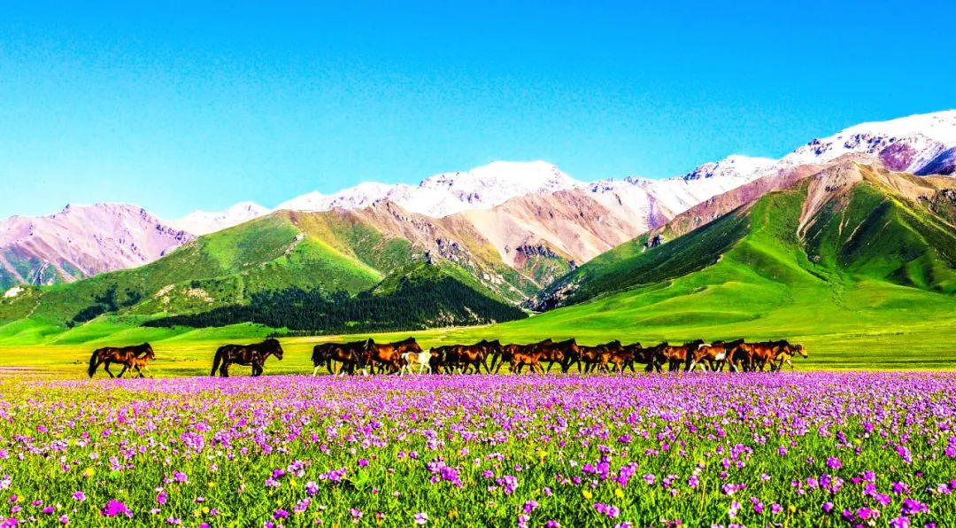 China Silk Road Tours