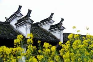 4-Day Jiangxi Tour | Discover Wangxiangu, Wuyuan, Jingdezhen & Sanqingshan Highlights