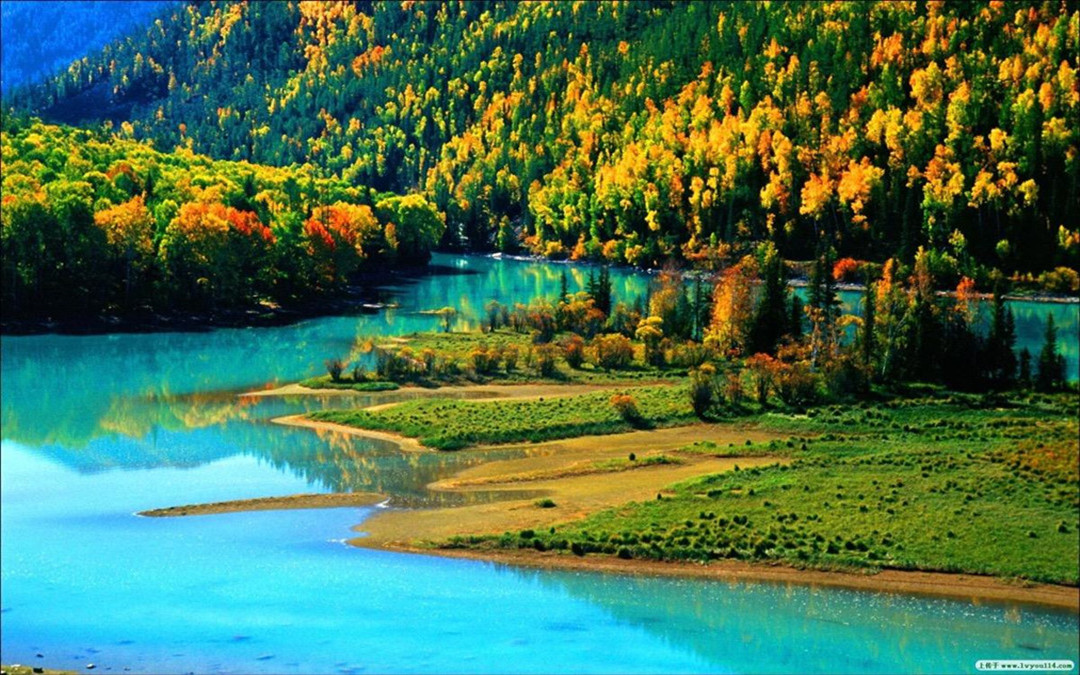 Kanas Nature Reserve-2.jpg