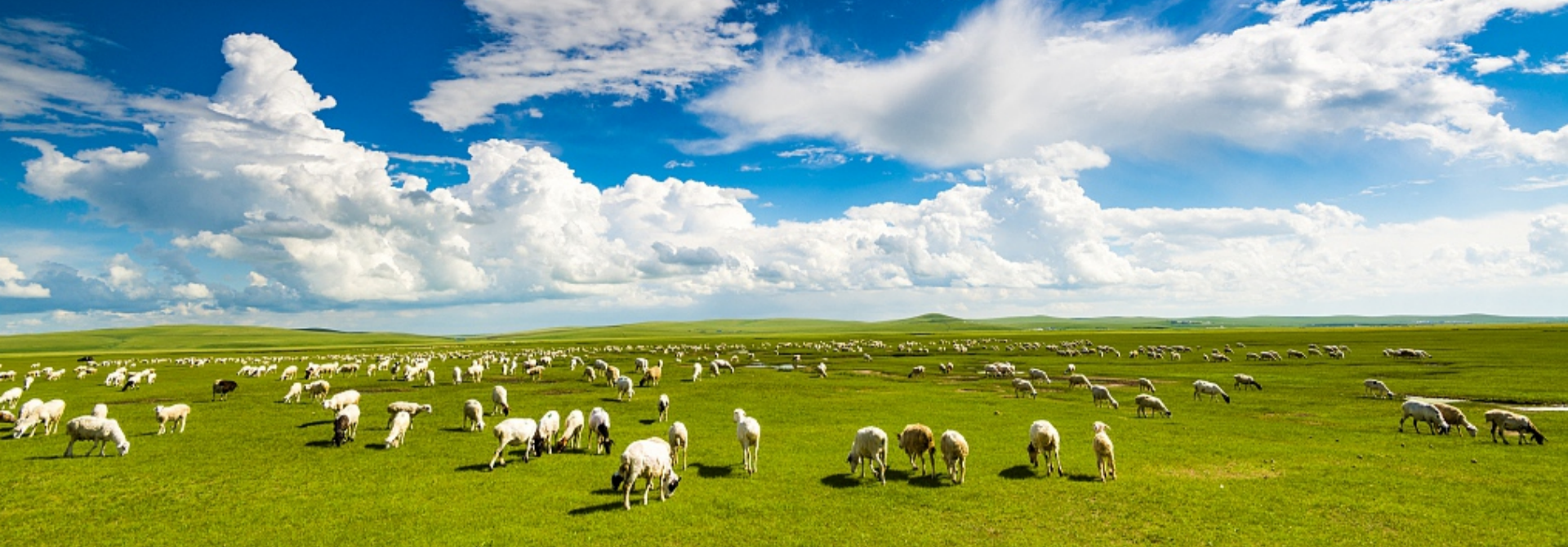 Inner Mongolia Tours